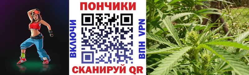 Магазины продажи наркотиков Перевоз Гашиш  МЕТАДОН  omg ТОР  Конопля  Мефедрон 
