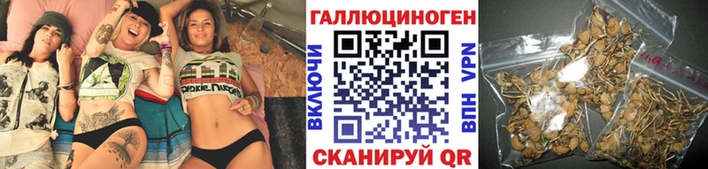 гидра вход  цены наркотик  Перевоз  Галлюциногенные грибы Psilocybe 
